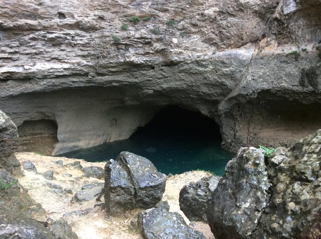 Mas De La Coucourde Panzió Paluds de Noves Kültér fotó