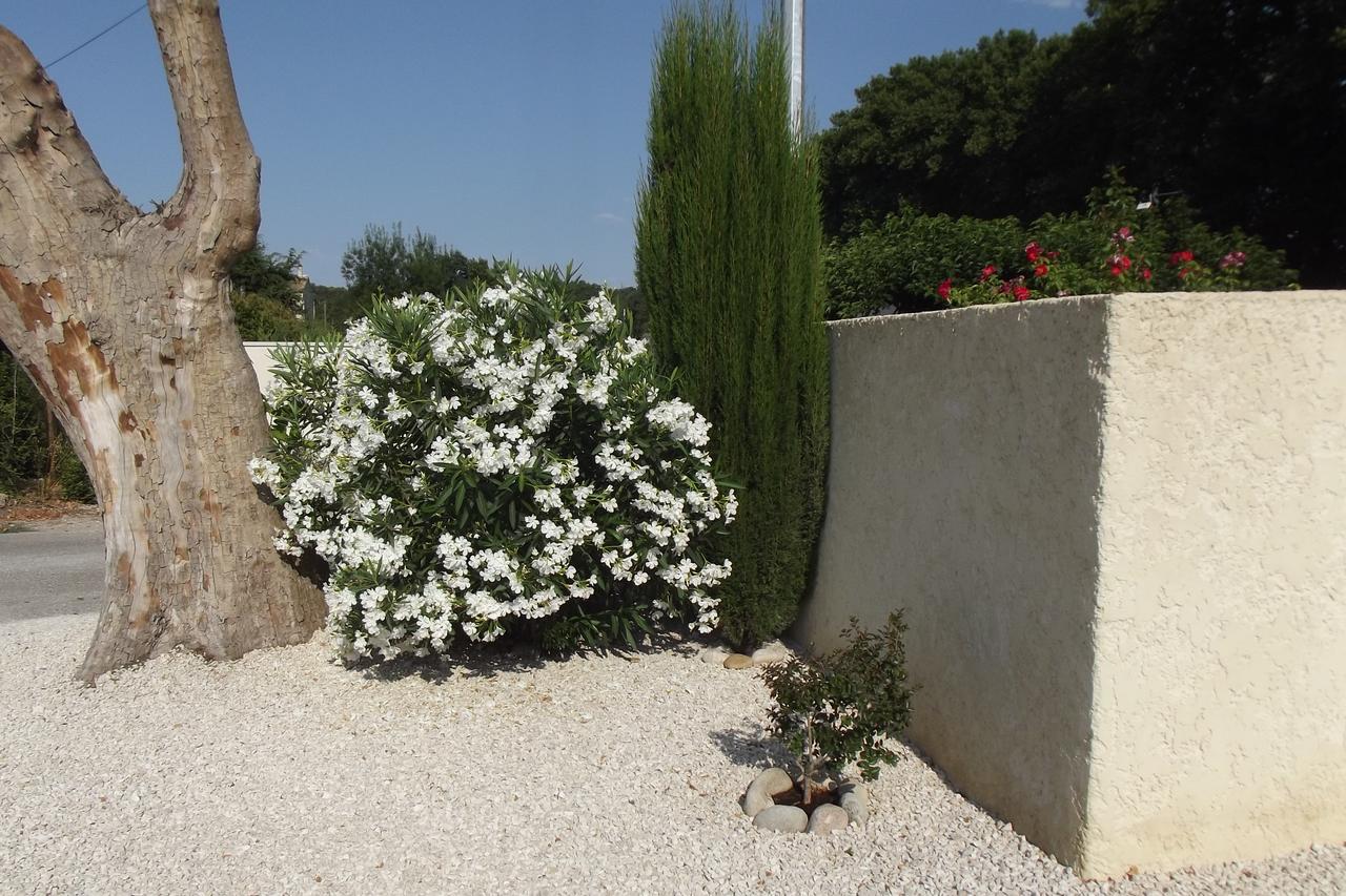 Mas De La Coucourde Panzió Paluds de Noves Kültér fotó